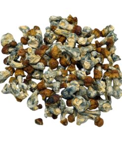 bluey louie