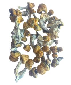 country cocks mushrooms