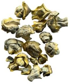 iceberg mushrooms 300x300