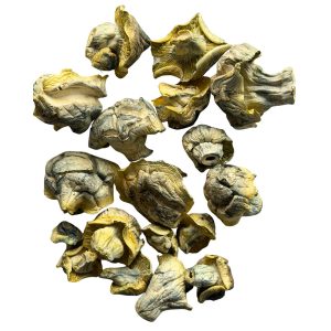 iceberg mushrooms 300x300 iceberg mushrooms 300x300