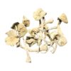 white rabbit mushrooms