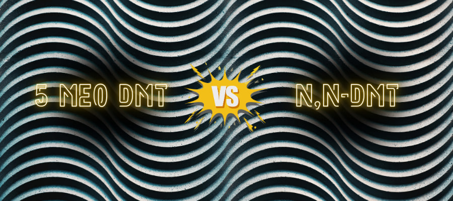 Blog dmt vs 5 meo dmt