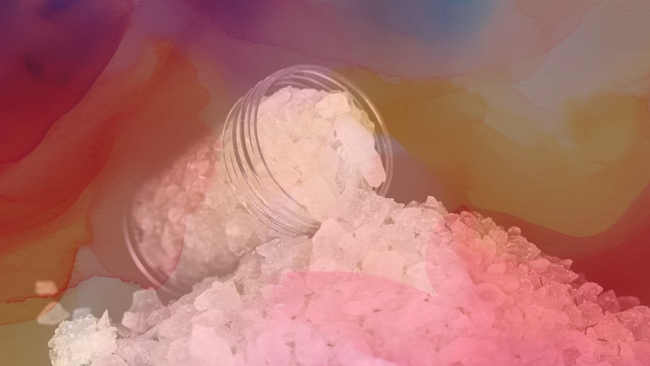 the trippy lab