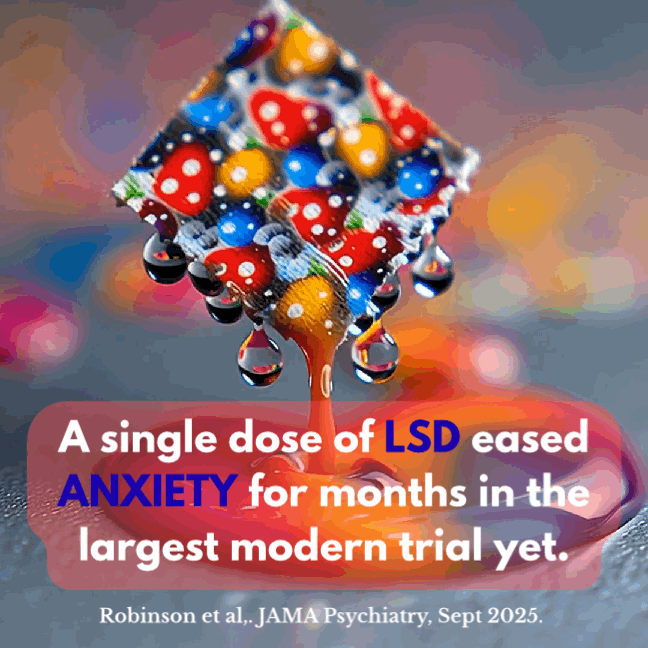 the trippy lab lsd