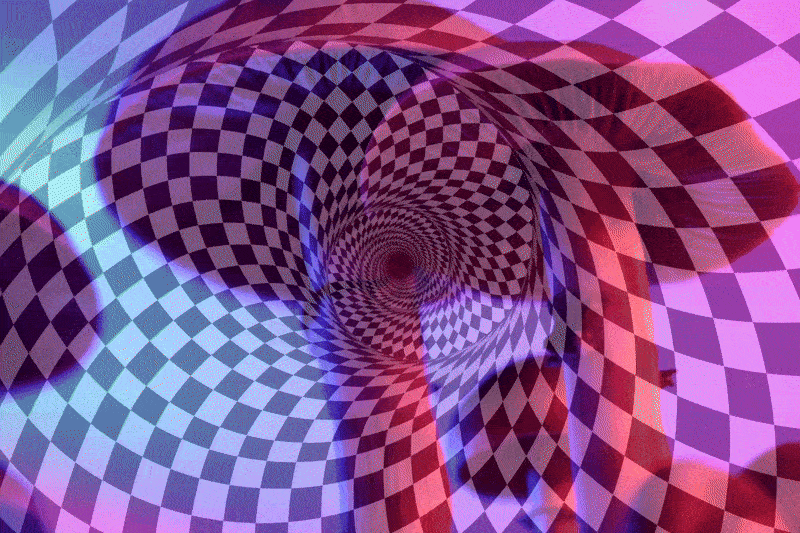 Home the trippy lab img.25 (2)